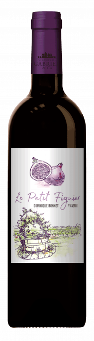 LE PETIT FIGUIER